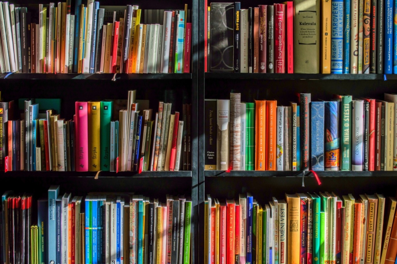 boutique-MALAUSSENE-min_books_bookstore_book_reading_shop_writer_sale_books_read-822866